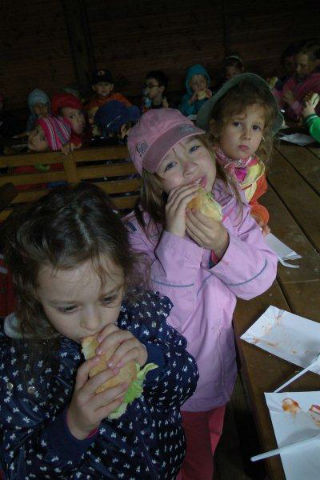 img004.jpg