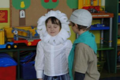 img017.jpg