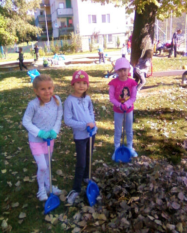 img004.jpg