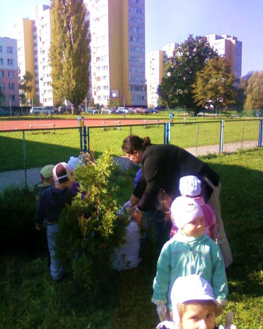img005.jpg