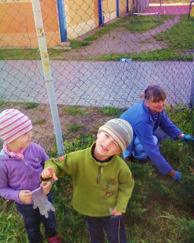 img006.jpg