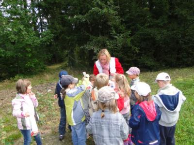 img004.jpg