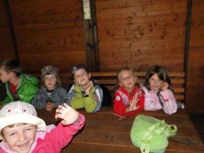 img017.jpg