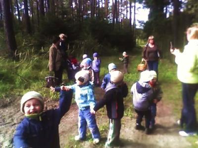 img021.jpg