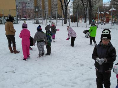 IMG_20190103_110941-1024x768.jpg