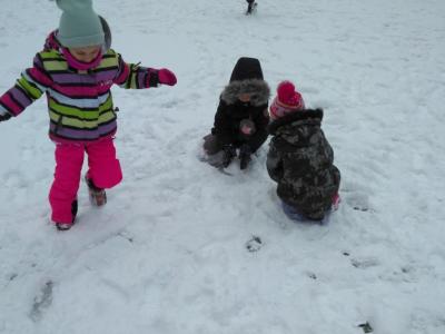 IMG_20190103_111015-1024x768.jpg
