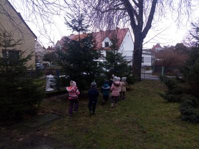 IMG_20210125_120115.jpg